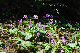 image0189