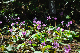 image0190