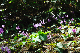 image0191