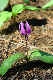 image0192