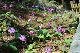 image0193