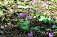 image0195