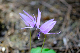image0196