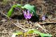 image0197