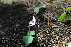 image0198