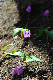 image0199