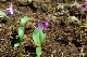 image0200