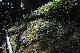 image0203