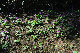 image0204