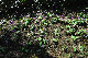 image0205