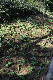 image0207