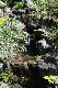 image0209