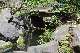 image0210