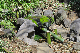 image0211