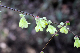 image0212