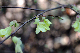 image0213