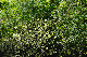 image0214