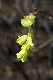 image0216