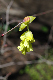 image0217