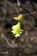 image0218