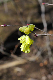 image0219