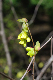 image0220
