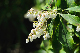 image0221