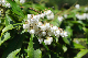 image0222