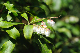 image0223