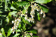 image0225
