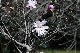 image0226