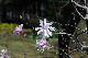 image0227