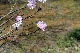 image0228