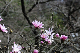 image0230