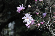 image0232