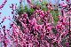 image0233