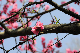 image0235