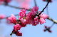image0237