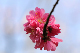 image0238