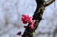 image0241