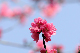 image0242