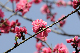 image0243