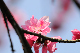 image0245