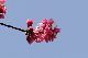 image0246