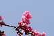 image0247