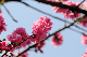 image0249