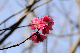 image0250