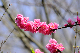 image0251