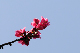 image0254