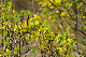 image0256